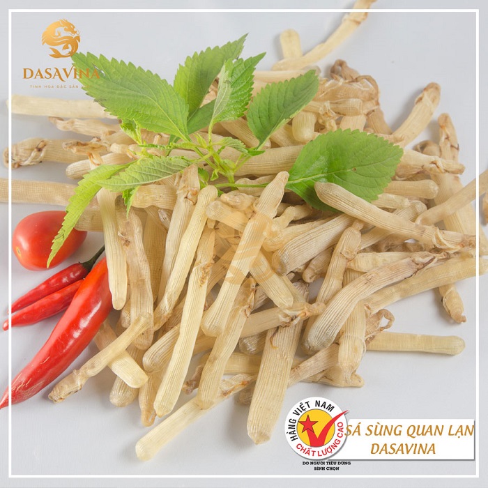 Sá sùng Quan Lạn